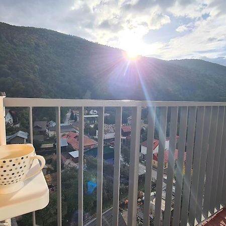 Apartament Vis De Sinaia ! Eksteriør billede