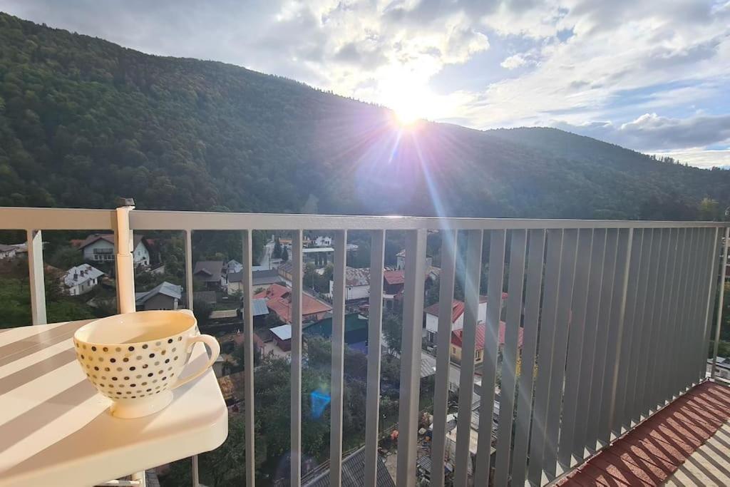 Apartament Vis De Sinaia ! Eksteriør billede